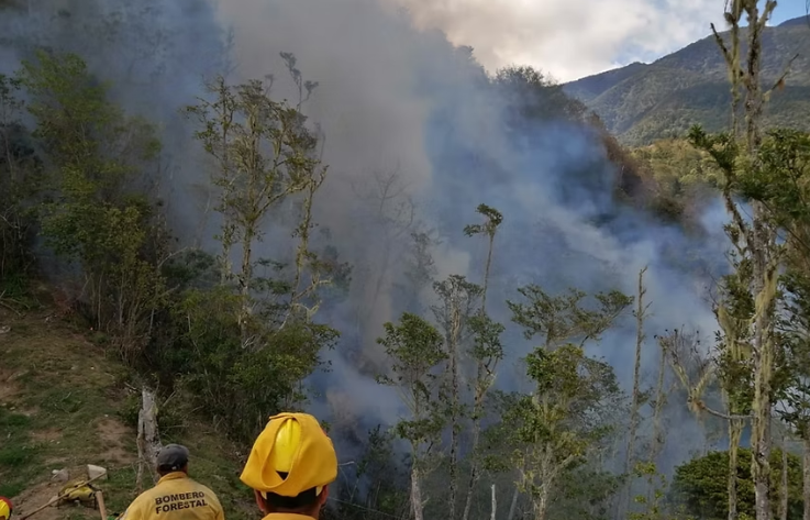 Iniciativa Bomberos Chile
