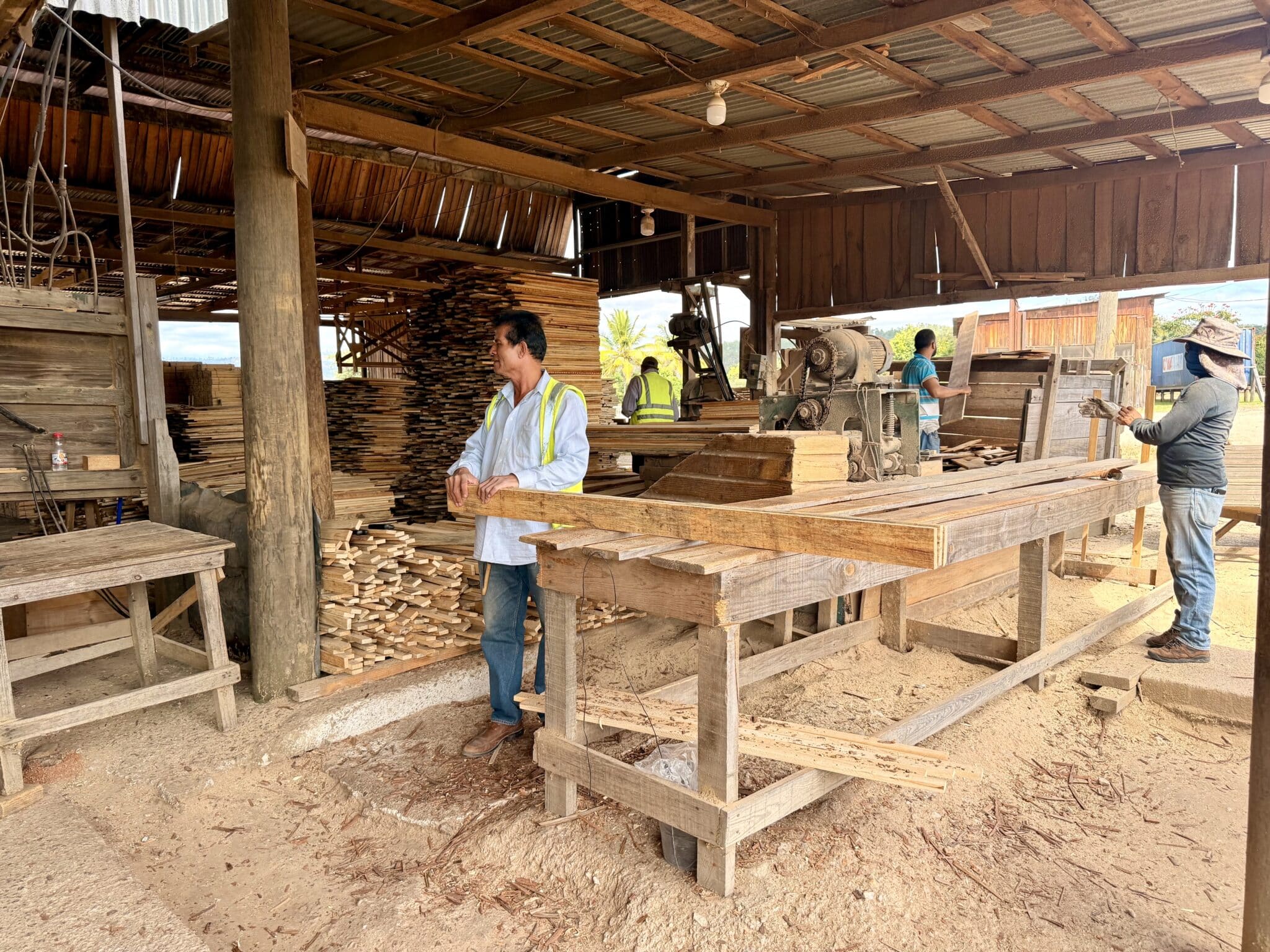 Proyecto Bosques Vivos en Honduras
