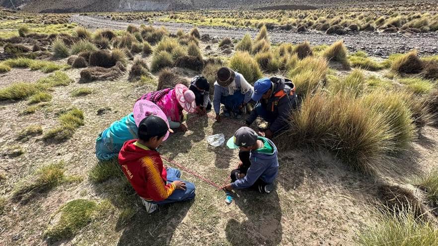 Conservación de bofedales