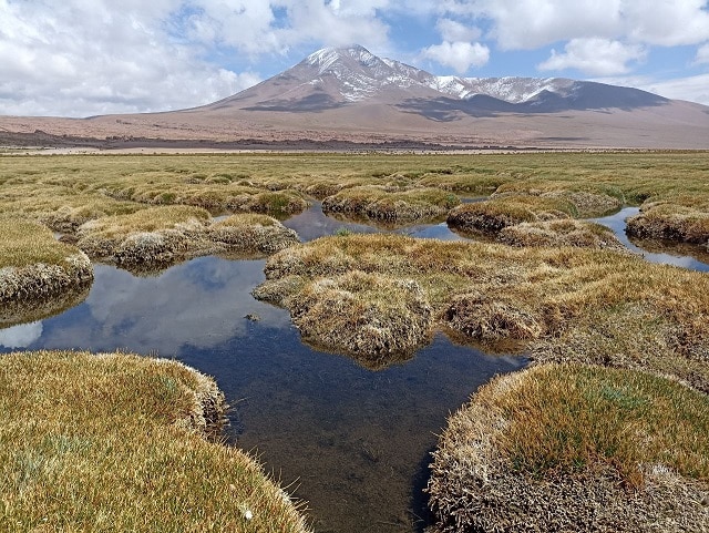 Fondo Verde del Clima
