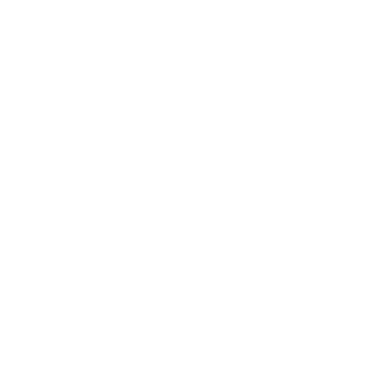 Icono