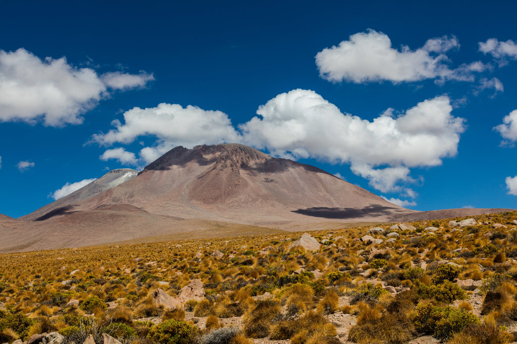 Región Sur